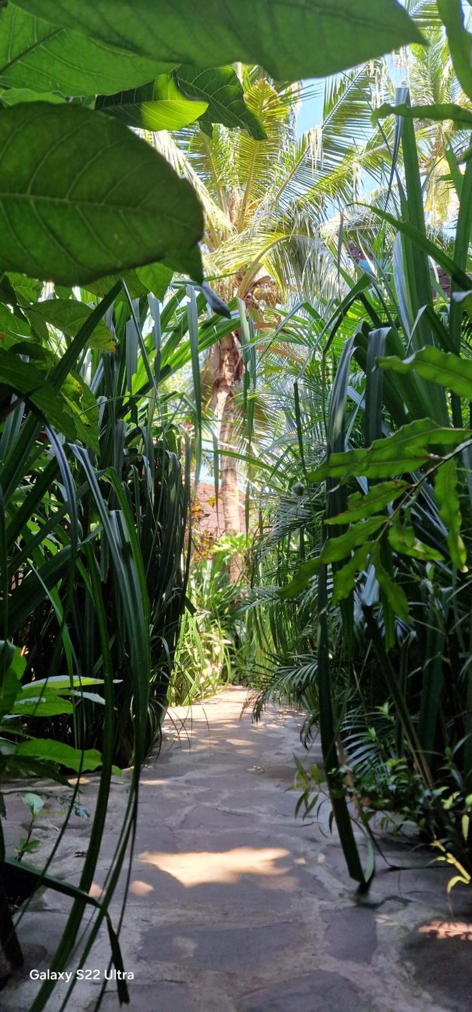 Villas Light House - Eco-Traditional Joglo Gili Trawangan Exterior photo